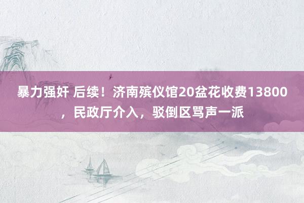 暴力强奸 后续！济南殡仪馆20盆花收费13800，民政厅介入，驳倒区骂声一派