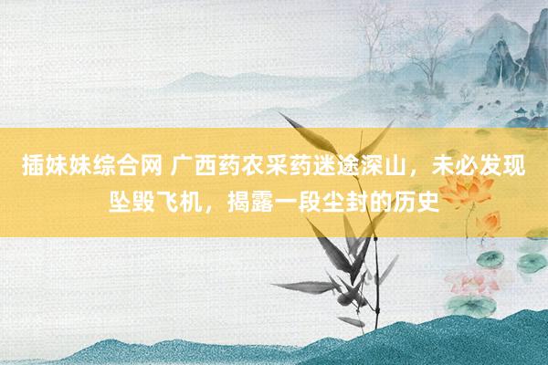 插妹妹综合网 广西药农采药迷途深山，未必发现坠毁飞机，揭露一段尘封的历史